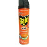 INSECTICIDA RAID CASA Y JARDIN 400 ML